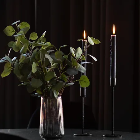 Elite Walowa * Γκντανσκ