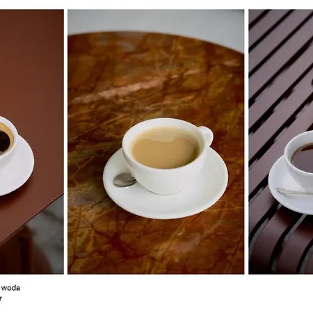 Lejlighed Elite Walowa *